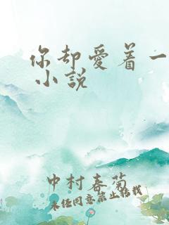 你却爱着一个他 小说