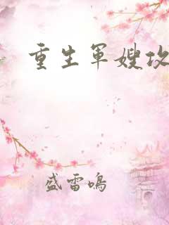 重生军嫂攻略