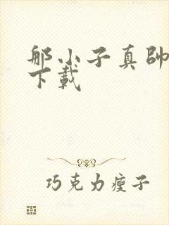 那小子真帅小说下载