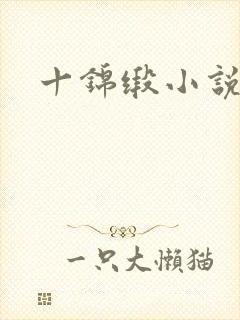 十锦缎小说