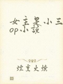 女主是小三的pop小说