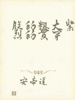 朕的粗大紫红猛烈的贯穿