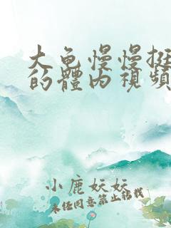 大龟慢慢挺进我的体内视频