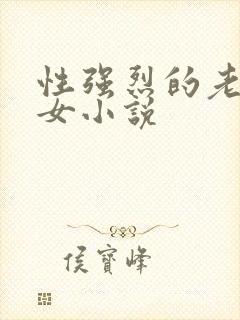 性强烈的老年妇女小说