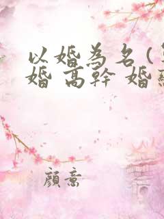 以婚为名 (军婚 高干 婚恋)