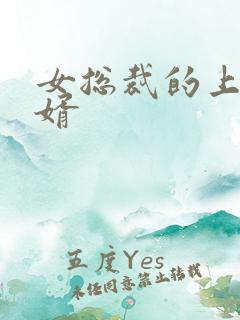 女总裁的上门女婿