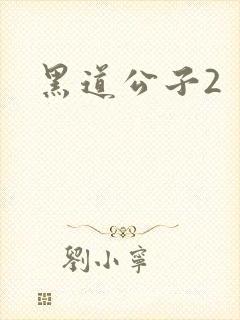 黑道公子2
