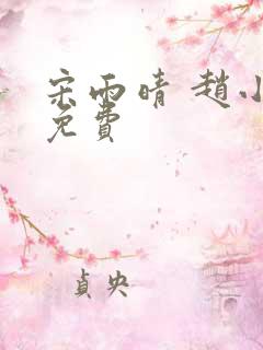 宋雨晴 赵小刚免费