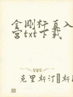 金刚杵直入莲花宫txt下载