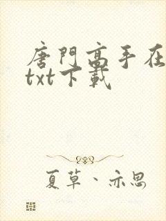 唐门高手在异世txt下载
