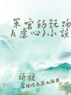 军官的玩物(高h虐心)小说