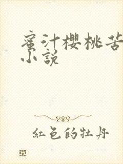 蜜汁樱桃苦咖啡小说