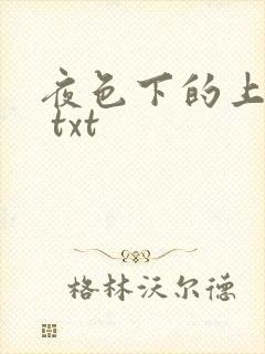 夜色下的上海滩 txt