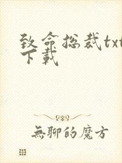 致命总裁txt下载
