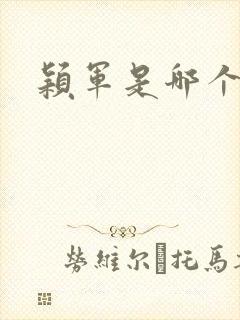 颖军是哪个军阀