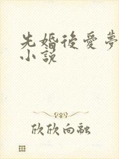 先婚后爱梦筱二小说