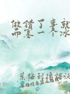 做错了事就往下面塞一个冰球作文