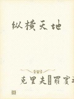 纵横天地