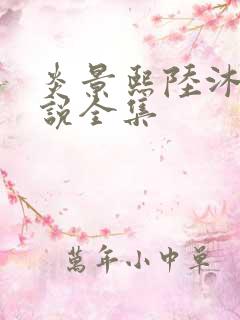 炎景熙陆沐擎小说全集