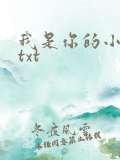 我是你的小小狗txt