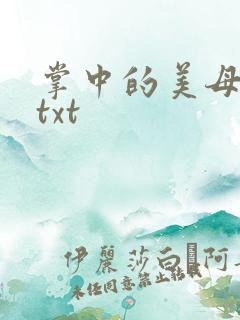 掌中的美母版主txt
