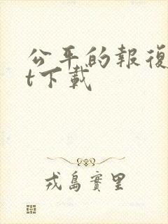 公平的报复txt下载