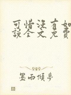 可惜没有如果小说全文免费阅读