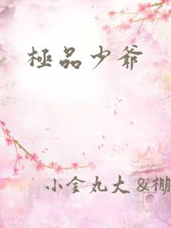 极品少爷
