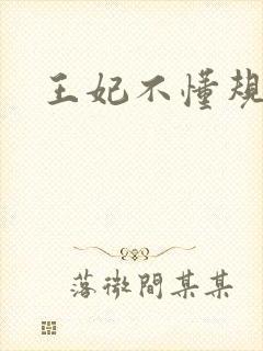 王妃不懂规矩