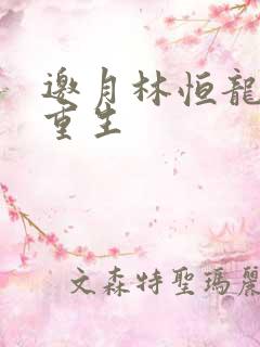 邀月林恒龙凤胎重生
