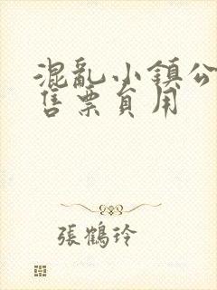 混乱小镇公交车售票员用