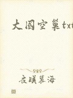 大国空巢txt