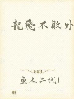 龙飞不败外传