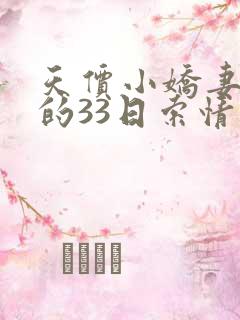 天价小娇妻总裁的33日索情