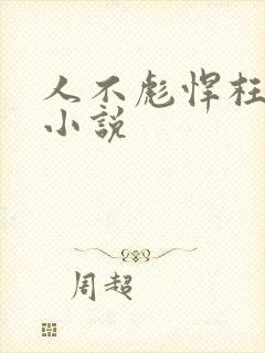 人不彪悍枉少年小说