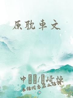 原耽车文