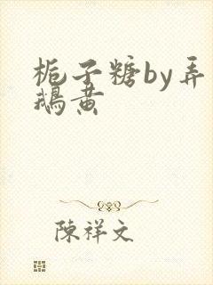 栀子糖by弄白鹅黄