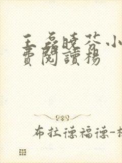 王磊晓芬小说免费阅读杨