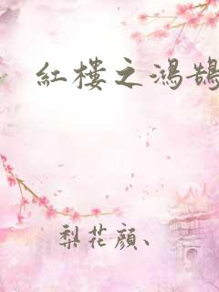 红楼之鸿鹄