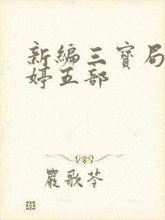 新编三宝局长许婷五部