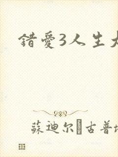 错爱3人生大事