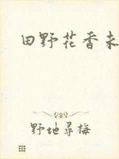 田野花香未删节