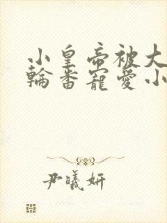 小皇帝被大臣们轮番宠爱小说