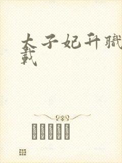 太子妃升职记下载