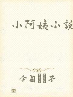 小阿姨小说