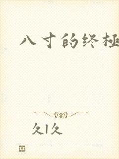 八寸的终极凶器