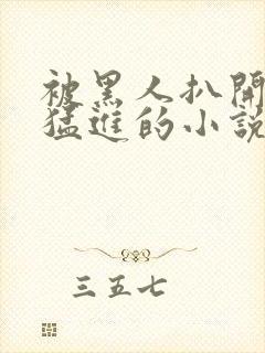 被黑人扒开双腿猛进的小说