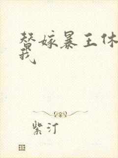 替嫁暴王休想碰我