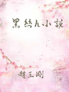 黑丝h小说
