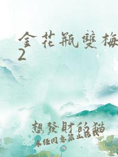 金花瓶双梅花12